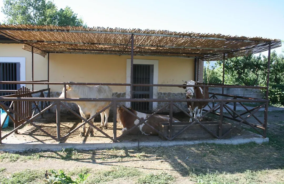 Azienda Agrituristica Vivi Natura-1
